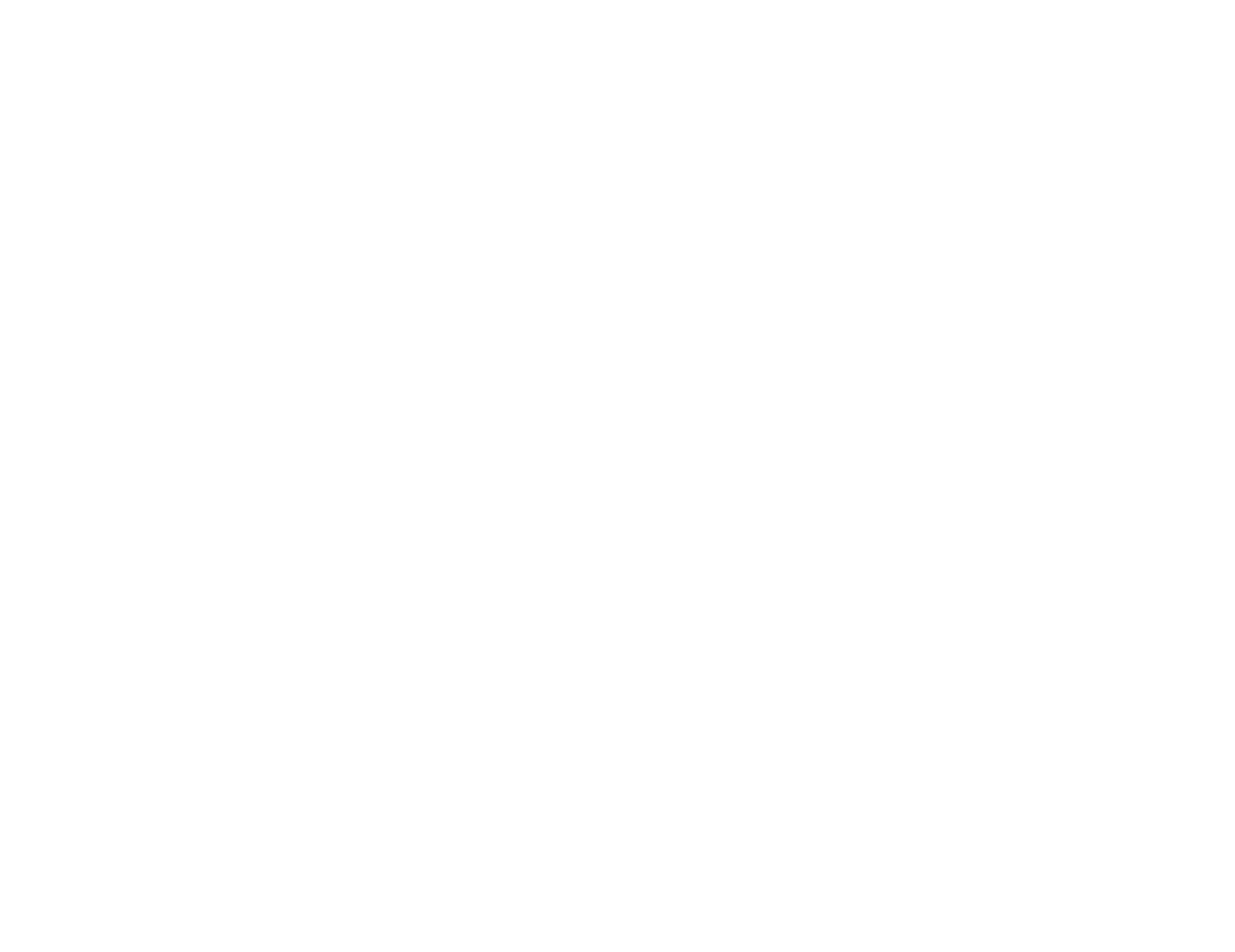 Logo Footer
